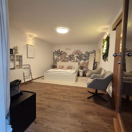 Studio Noellica Rovinj Dış mekan fotoğraf