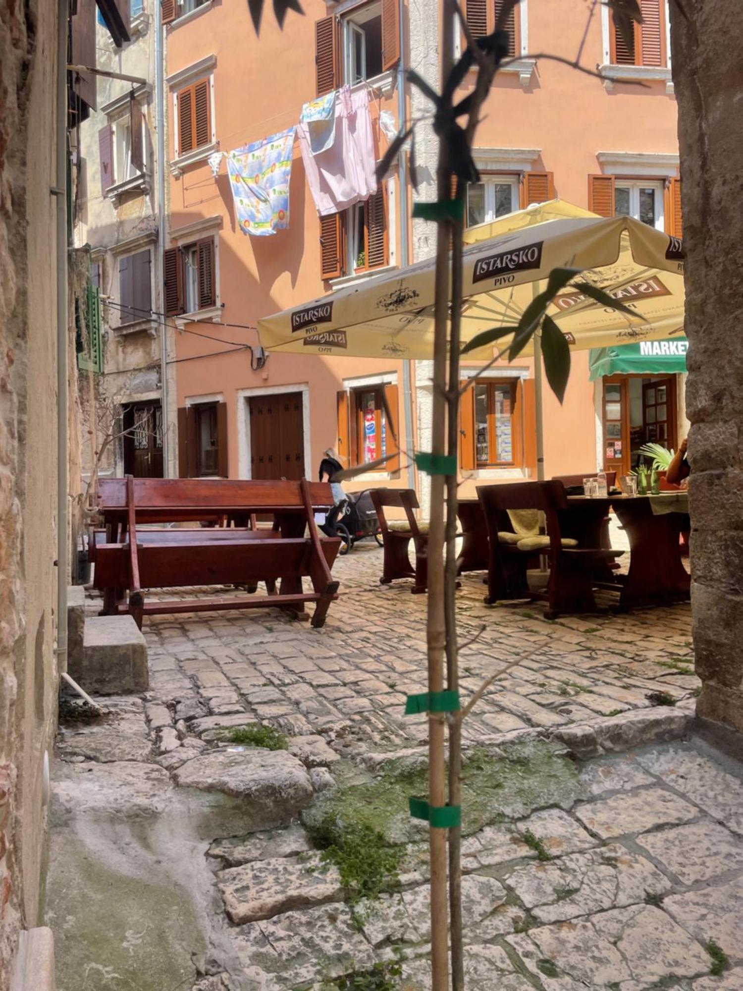Studio Noellica Rovinj Dış mekan fotoğraf